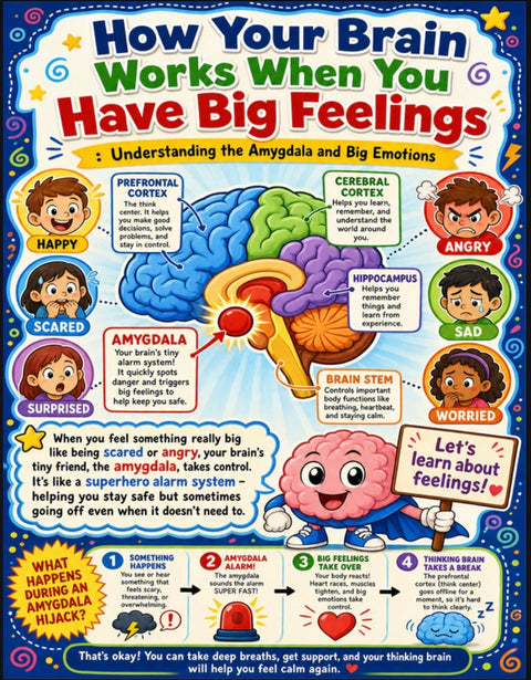 How Your Brain Works When You Have Big Feelings Poster | Amygdala Hijack | SEL Classroom Decor | Neuroscience for Kids | Emotional Regulation Print | Digital Download