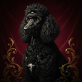 Royal Poodle in Crimson