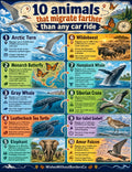 10 Animals That Migrate Farther Than Any Car Ride | Educational Poster Set for Kids