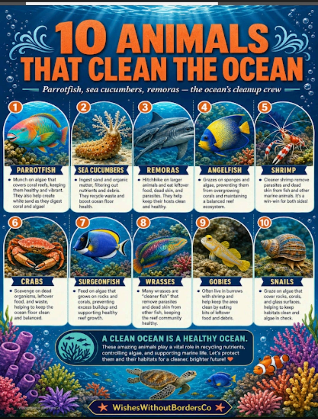 10 Animals That Clean the Ocean | Educational Poster Set for Kids