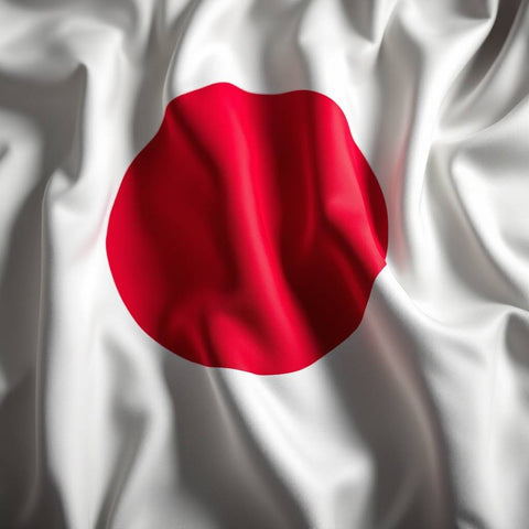 Japanese Flag Digital Print — No. 452 — Digital Wall Art