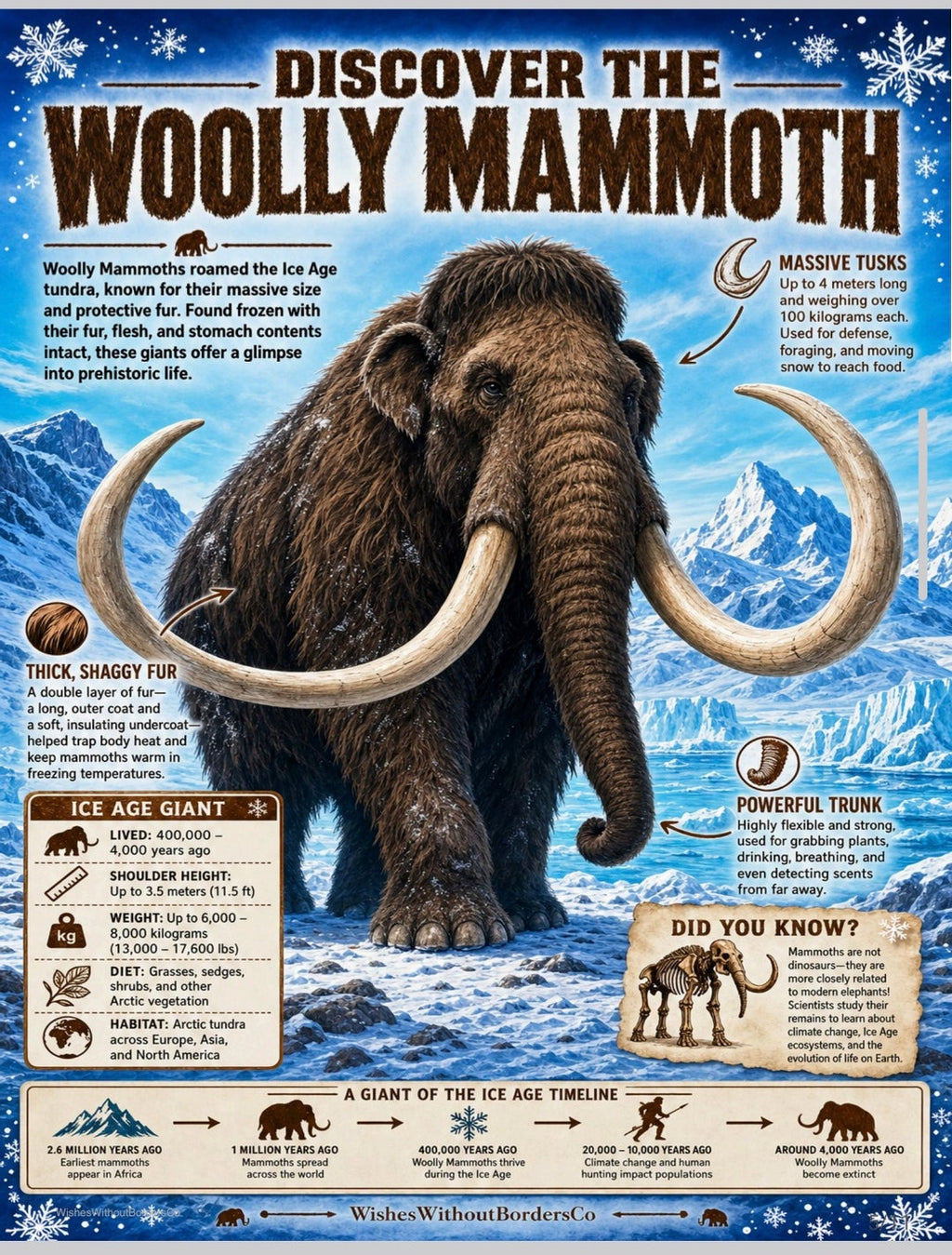 10 Prehistoric Animals That Aren't Dinosaurs | Educational Poster Set for Kids
