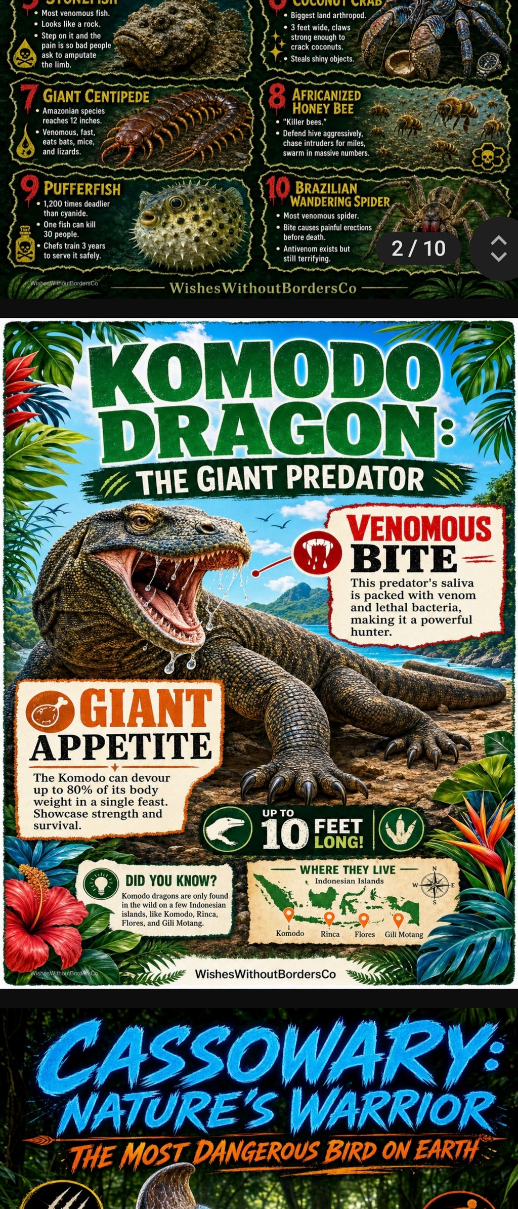 10 Real-Life Monsters | Nature's Most Frightening Creatures | Educational Poster Set