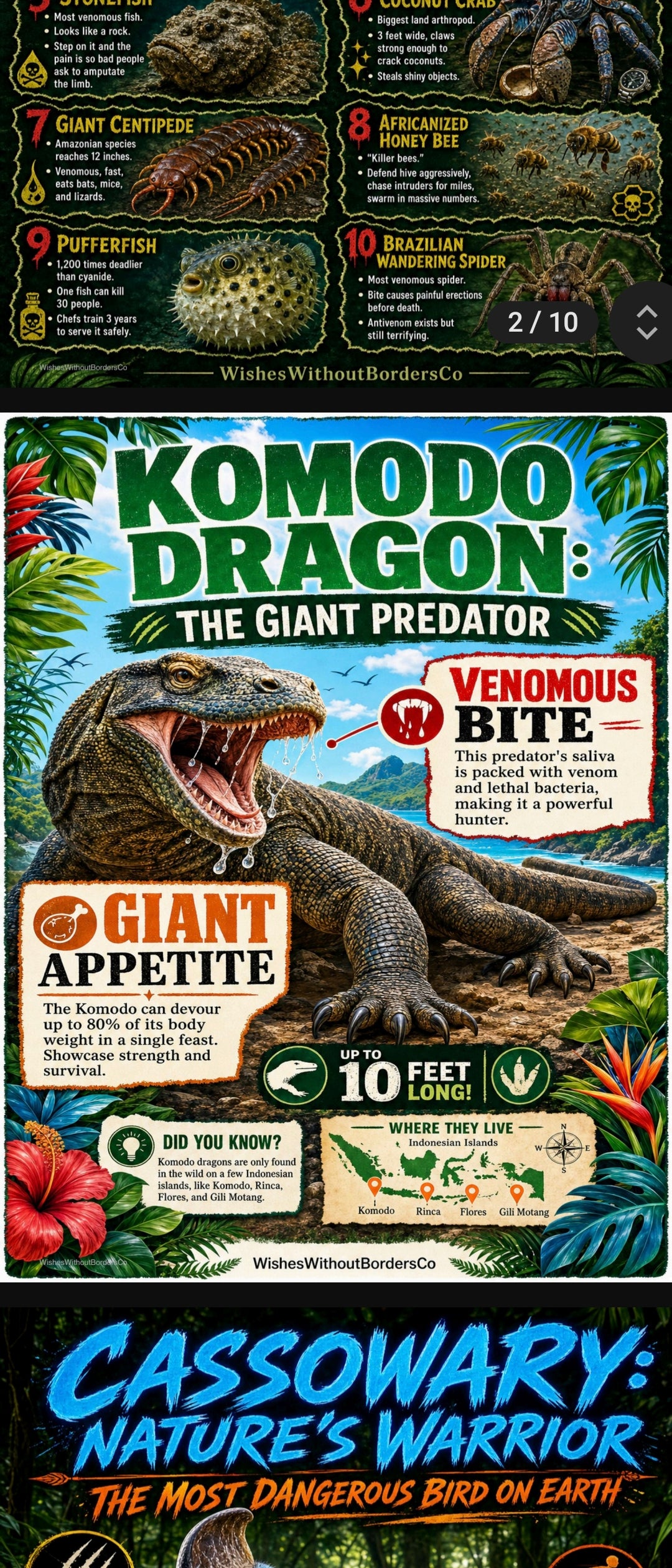 10 Real-Life Monsters | Nature's Most Frightening Creatures | Educational Poster Set
