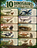 10 Dinosaurs That Were Actually Tiny | Educational Poster Set for Kids