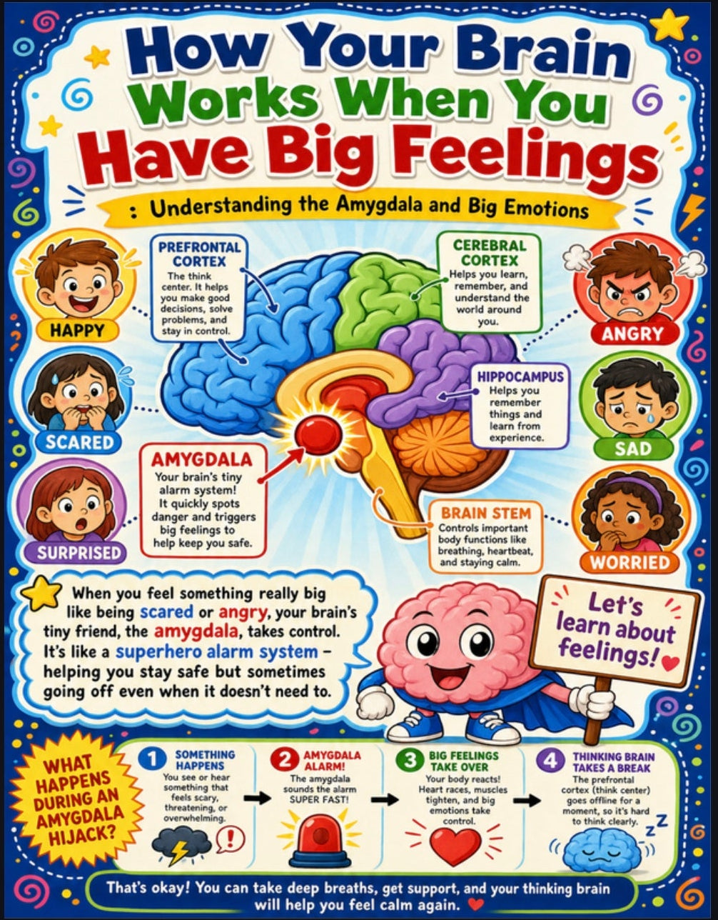 How Your Brain Works When You Have Big Feelings Poster | Amygdala Hijack | SEL Classroom Decor | Neuroscience for Kids | Emotional Regulation Print | Digital Download