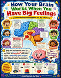 How Your Brain Works When You Have Big Feelings Poster | Amygdala Hijack | SEL Classroom Decor | Neuroscience for Kids | Emotional Regulation Print | Digital Download