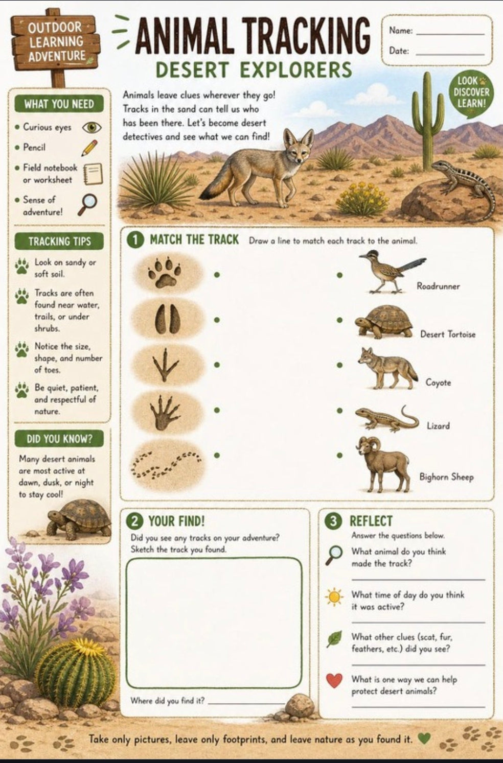 Nature & Outdoor Exploration Pack | Bilingual SEL Activities for Kids