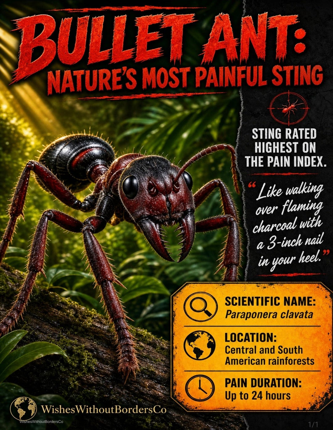 10 Real-Life Monsters | Nature's Most Frightening Creatures | Educational Poster Set