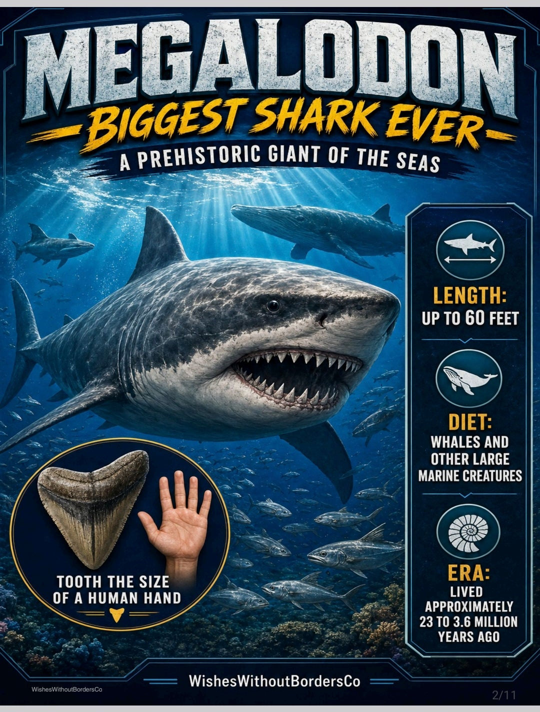 10 Prehistoric Animals That Aren't Dinosaurs | Educational Poster Set for Kids